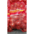 esportazione di cipolla rossa in Indonesia